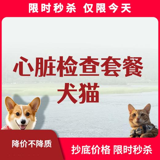 限时秒杀丨犬猫心脏体检套餐 商品图0