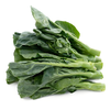 有机芥兰苗 商品缩略图2