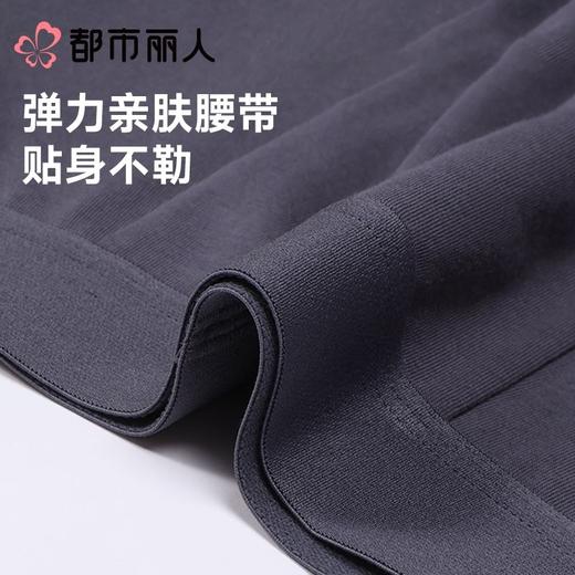 都市丽人男士男士内裤40S棉拉架平角裤明筋棉平角FKCG08 商品图5