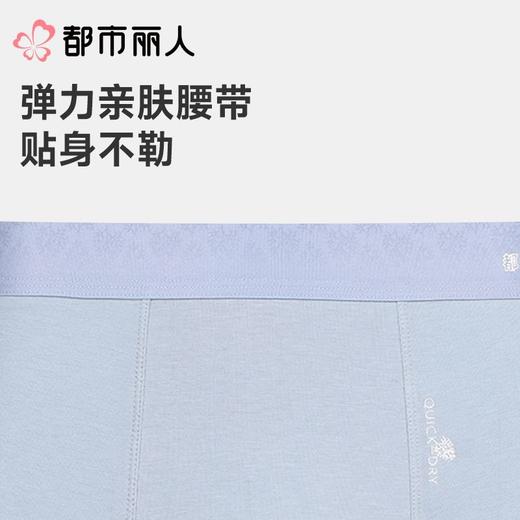 都市丽人男士男士内裤水柔棉平角裤明筋棉平角FKCC32 商品图4