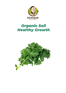 有机羽衣甘蓝500g