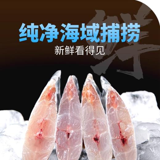 【现货-开袋即烹】东海香酥带鱼段5包2000g 商品图2