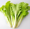 有机杭白菜 商品缩略图2