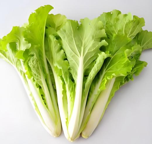 有机杭白菜 商品图2