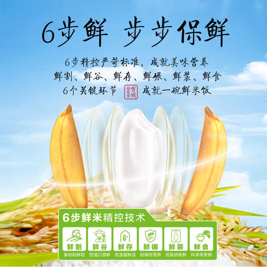 DH 金龙鱼稻谷鲜生6步鲜雪域稻花香5kg(塑料袋) 商品图3