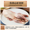 【现货-国企联名】山林散养老母鸡麻鸭童子鸡组合2750g 商品缩略图4