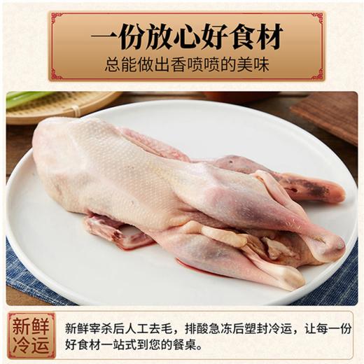 【现货-国企联名】山林散养老母鸡麻鸭童子鸡组合2750g 商品图4