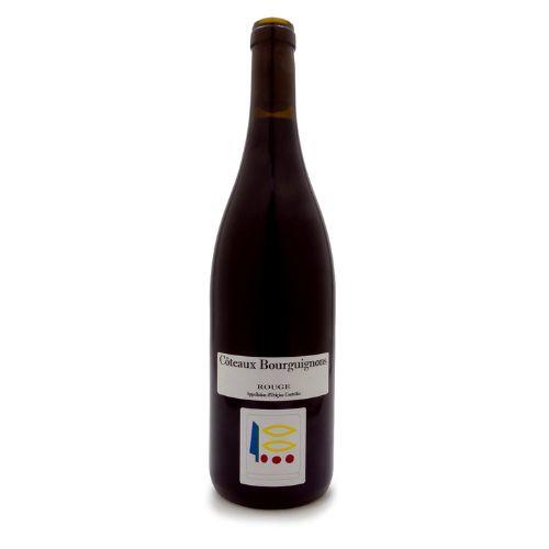 Domaine Prieure Roch Coteaux Bourguignons Rouge皮耶侯奇酒庄勃艮第丘红葡萄酒2020 商品图0
