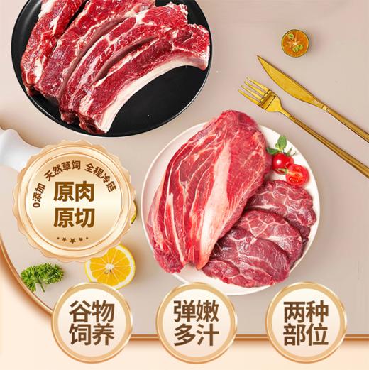 【现货-澳洲谷饲】安格斯牛肋排牛腱组合2000g 商品图4
