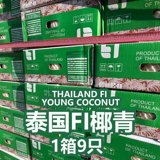 泰国FI 椰青 进口水果 约2.5斤/只 商品图2