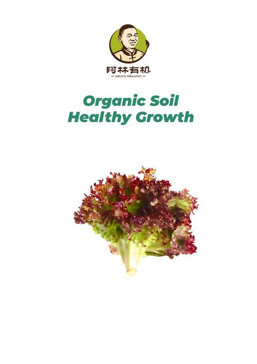 有机罗莎红（生菜） 商品图0