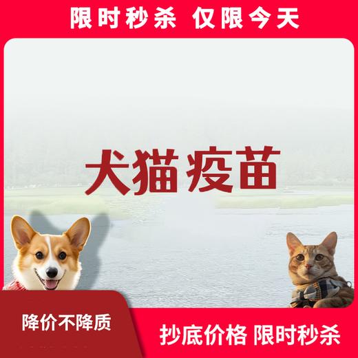 限时秒杀丨犬猫免疫疫苗 商品图0