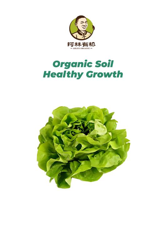 有机奶油生菜 商品图0