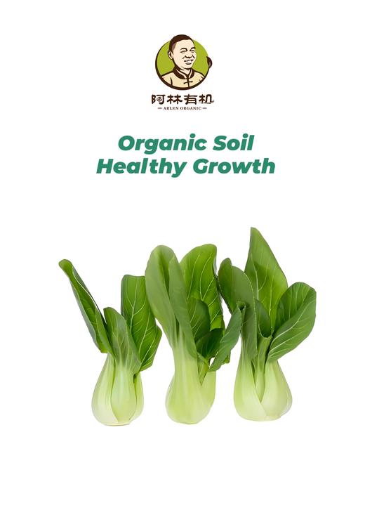 有机青菜 商品图0