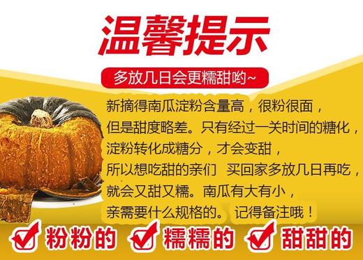【严选】【金新农】陕西软糯粉甜饱腹代餐贝贝南瓜      （厂家直发） 商品图3