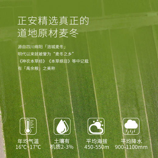 正安原材·四川绵阳麦冬（盒装） 足年春季采挖 颗颗有芯个大肉厚 色泽自然口感清香 80g/罐【冷藏保存】 商品图5