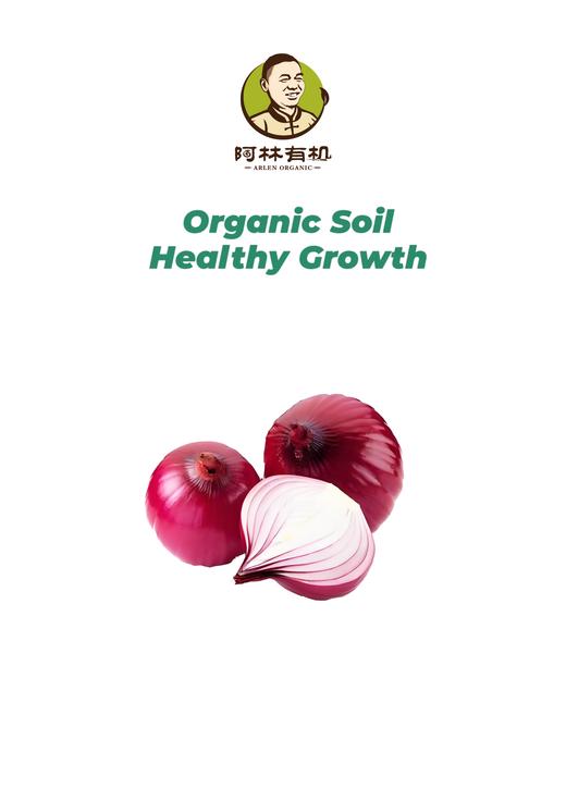 有机紫洋葱 500g 商品图0