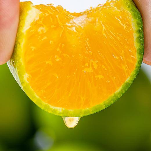 【严选】【金新农】云南哀牢山手剥橙子皇帝柑新鲜水果冰糖橙大果70mm以上4.5斤/8.5斤   (厂家直发） 商品图4