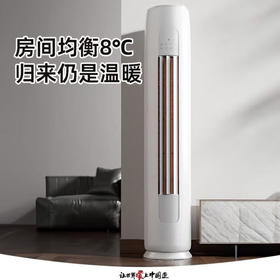 【格力】空调_新能效一级能效 变频冷暖 自清洁 客厅圆柱空调立式柜机 2匹 一级能效 天灿_KFR-50LW/(50504)FNhAc-B1【佛山】