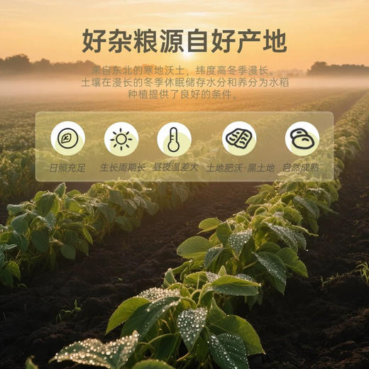 和粮溢田有机黄豆 商品图2