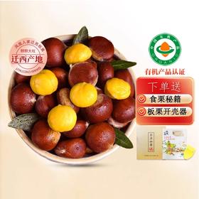 严选 | 迁西有机板栗(2025年大板栗5斤 附:食栗秘籍+栗爪)