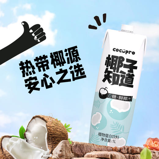 【直发】椰子知道0糖鲜椰汁大瓶装1000ml*6 商品图3