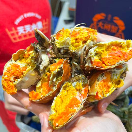 爆黄江苏红膏大闸蟹 有身份证的大品牌螃蟹  鲜活 收到后2小时内有问题可售后 过时不候 商品图3