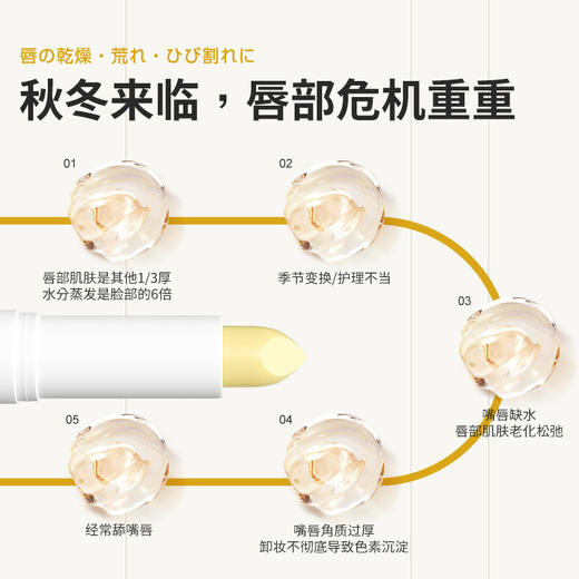 日本BOYCAL蜂胶保湿润唇膏4g/支【福利品】 商品图2