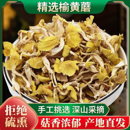 紫阳榆黄菇120g 商品图1