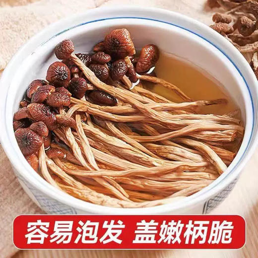 红叶福茸茶树菇 商品图3