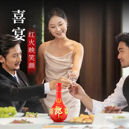 郎酒（红花郎十年） 53度酱香型白酒500ml 商品图3