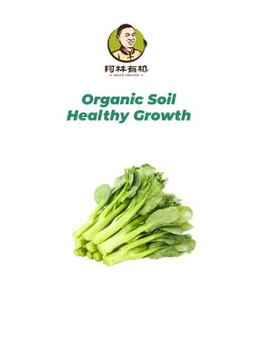 有机青菜苔500g