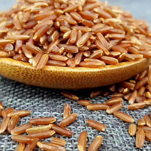 和粮溢田有机红米 商品图2