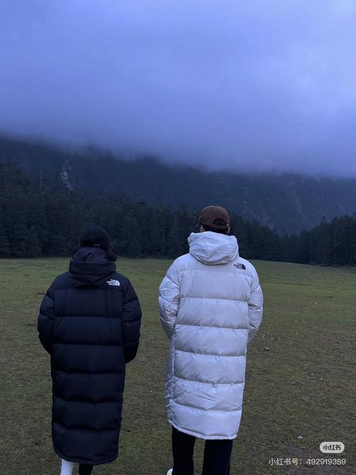 TNF男女长款羽绒服DRYVENT情侣款户外防风鹅绒外套 商品图6