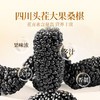 【直发】贡苑-252g熟地黄黄精桑椹组合【18克*14包】*2盒装 商品缩略图4