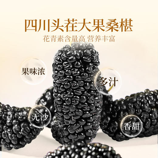 【直发】贡苑-252g熟地黄黄精桑椹组合【18克*14包】*2盒装 商品图4