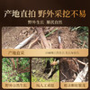 【直发】贡苑 【正宗甘肃岷县野挖1.5*1.8cm】精品黄芪片250g/ 商品缩略图3