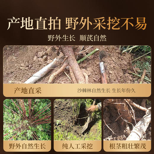 【直发】贡苑 【正宗甘肃岷县野挖1.5*1.8cm】精品黄芪片250g/ 商品图3