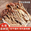 红叶福茸茶树菇 商品缩略图4
