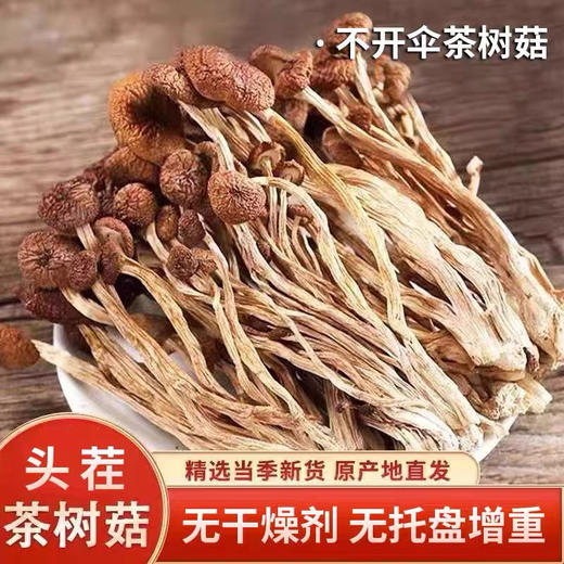 红叶福茸茶树菇 商品图4