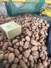【严选】【金新农】云南软糯香甜洋芋马铃薯红皮土豆3斤/5斤装  （厂家直发） 商品缩略图0