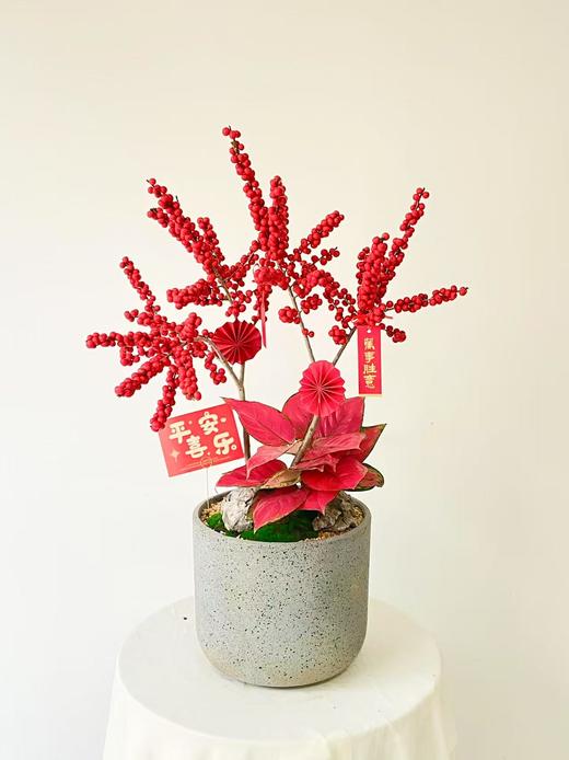 冬青水泥盆/388 商品图0