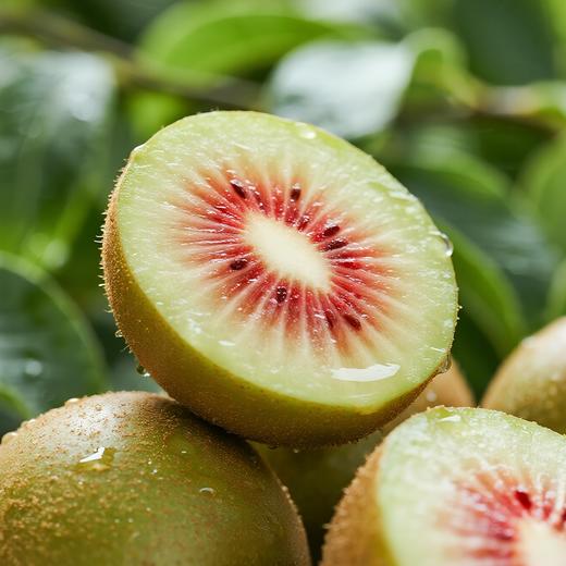 四川红心猕猴桃礼盒装24粒(大果 单果90g+) 商品图4