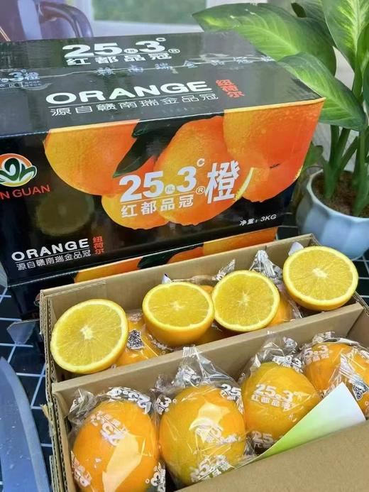 25.3橙子一箱 商品图1