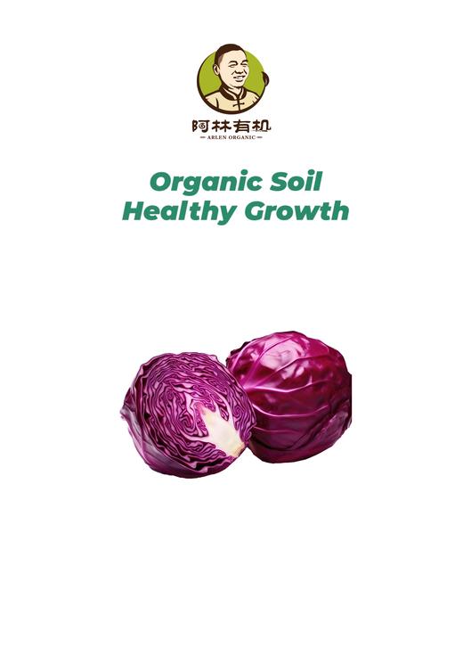 有机紫甘蓝 商品图0