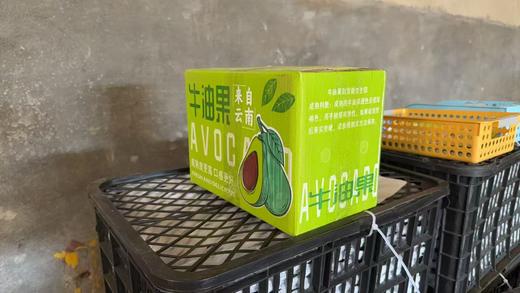 【严选】【金新农】云南哈斯牛油果160-190g/个    （厂家直发） 商品图2