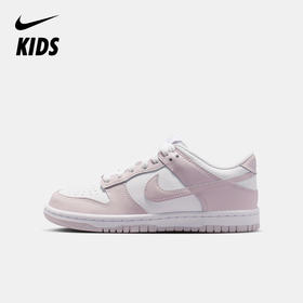 Nike Dunk Low (GS) 大童运动童鞋 FB9109
