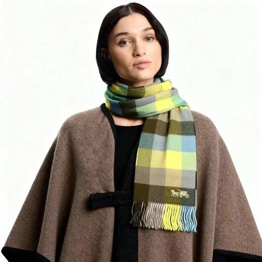 蔻驰KC新款，无主标水洗标，男女款100%羊毛围巾... 官网125美金... 商品图4