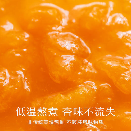 南食召 本味杏子酱 商品图3