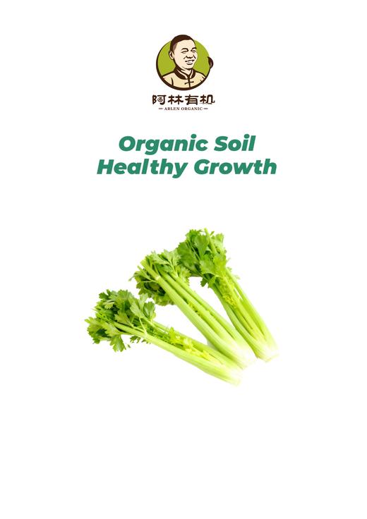 有机西芹 商品图0